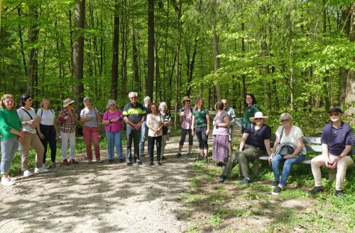 hve_240430_stiller_wald__1